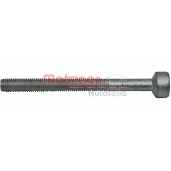Vis, support pour controleur d'injecteurs METZGER OEM A0019902607