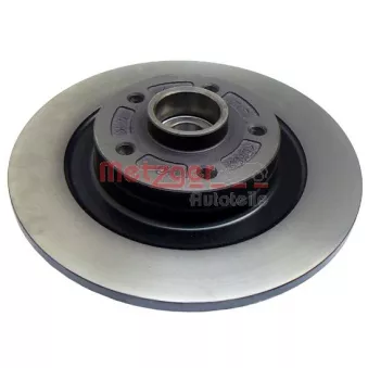 Jeu de 2 disques de frein arrière METZGER OEM 402022291R