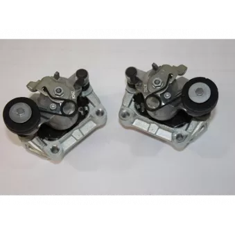 Jeu d'axes d'étriers de freins AUTOMEGA OEM 1605119