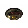 Thermostat d'eau CASALS [65915]