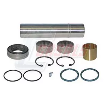 CASALS 69101 - Kit d'assemblage, pivot de fusée d'essieu