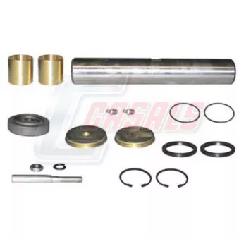 CASALS 69161 - Kit d'assemblage, pivot de fusée d'essieu