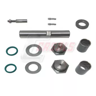CASALS 69216 - Kit d'assemblage, pivot de fusée d'essieu