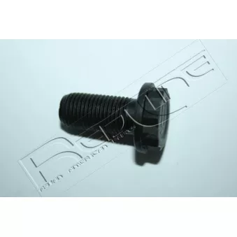 Vis au support du pignon pour volant moteur RED-LINE [00KI005]
