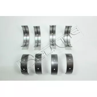 Kit de coussinet de vilebrequin RED-LINE 02NI063