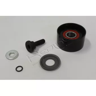 Tendeur de courroie, courroie de distribution RED-LINE OEM 2481027250