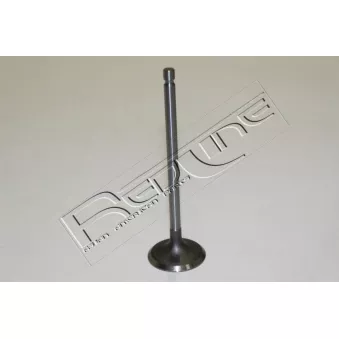 Soupape d'admission RED-LINE 15GW002