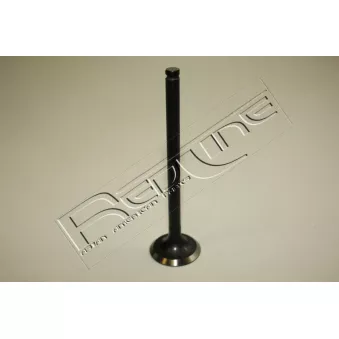 Soupape d'émission RED-LINE OEM 279005125105