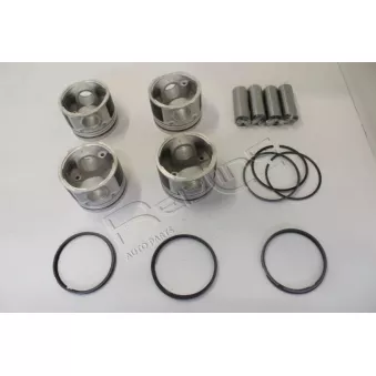 Piston RED-LINE OEM 120330W813