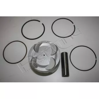 Piston RED-LINE OEM 1211163E10