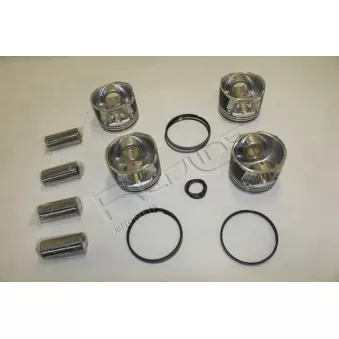 Piston RED-LINE 20TO102