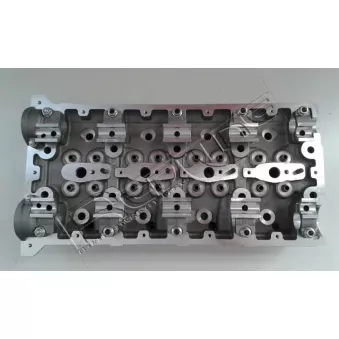Culasse de cylindre RED-LINE OEM 220014XA20