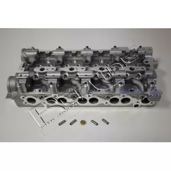 Culasse de cylindre RED-LINE OEM 221004X911