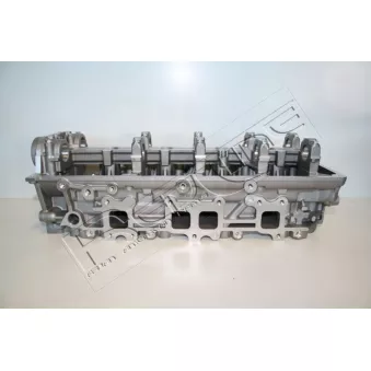 Culasse de cylindre RED-LINE OEM WE0110100K