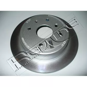 Jeu de 2 disques de frein arrière RED-LINE OEM 96328254