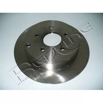 Jeu de 2 disques de frein arrière RED-LINE OEM MR955408