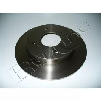 Jeu de 2 disques de frein arrière RED-LINE OEM 432069E601
