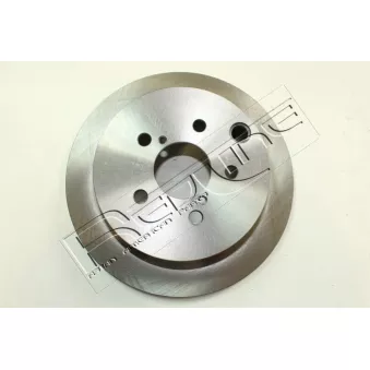 Jeu de 2 disques de frein arrière RED-LINE OEM 26700FJ000