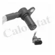 CALORSTAT BY VERNET CS0201 - Capteur d'angle, vilebrequin