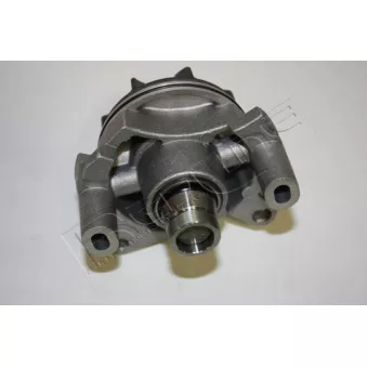 Pompe à eau, refroidissement du moteur RED-LINE OEM 1741066G01