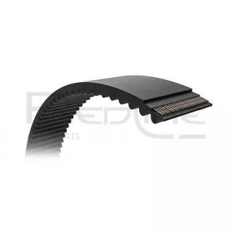 Courroie de distribution RED-LINE OEM 2431232010