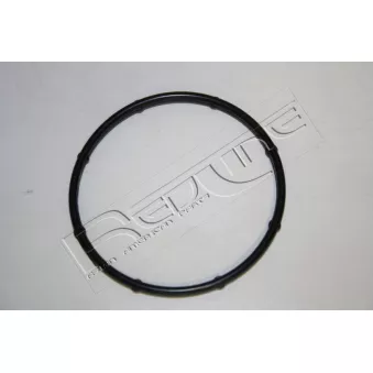 Joint d'étanchéité, pompe à eau RED-LINE 34HY017