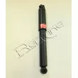 Jeu de 2 amortisseurs arrière RED-LINE [39CH002]