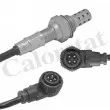CALORSTAT BY VERNET LS140667 - Sonde lambda