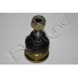 RED-LINE 40NI056 - Rotule de suspension
