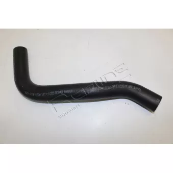 Durite de radiateur RED-LINE OEM 254111C100