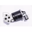 RED-LINE 50DW010 - Vanne EGR