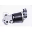 RED-LINE 50DW010 - Vanne EGR