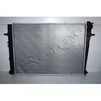 Radiateur, refroidissement du moteur RED-LINE OEM 253102E500