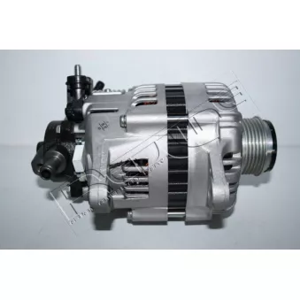 Alternateur RED-LINE OEM 373004X220