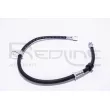 RED-LINE 54MI013 - Flexible de frein avant gauche