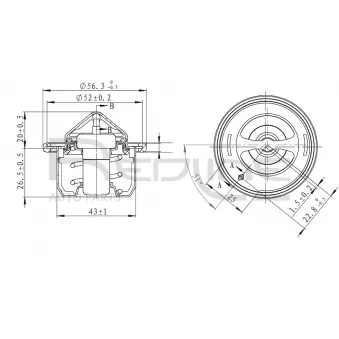 Thermostat d'eau RED-LINE OEM 0K2C015171
