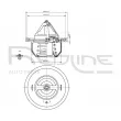 RED-LINE 55RV001 - Thermostat d'eau