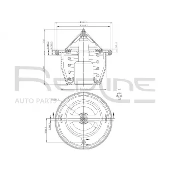 RED-LINE 55SU000 - Thermostat d'eau