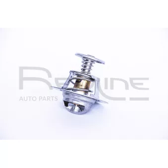 Thermostat d'eau RED-LINE OEM 1767066G00