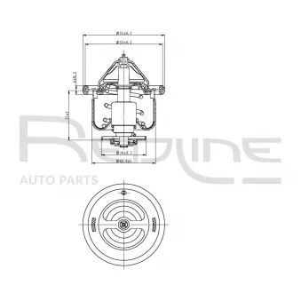 RED-LINE 55TO000 - Thermostat d'eau