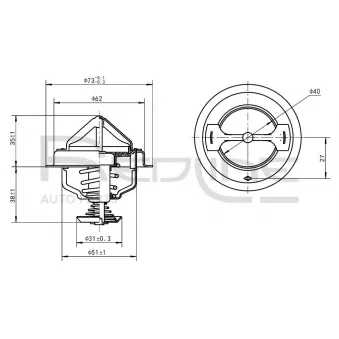Thermostat d'eau RED-LINE 55TO002