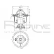 RED-LINE 55TO004 - Thermostat d'eau