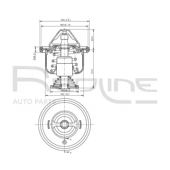 Thermostat d'eau RED-LINE OEM 1338e8