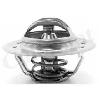 Thermostat d'eau CALORSTAT BY VERNET TH1309.87