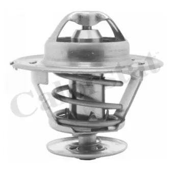 Thermostat d'eau CALORSTAT BY VERNET TH1418.89J