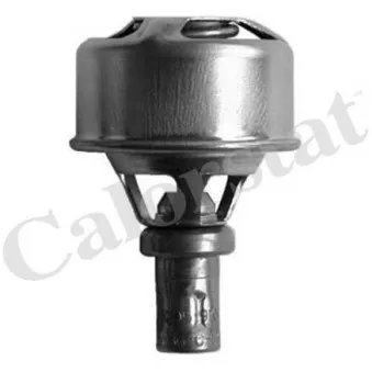 Thermostat d'eau CALORSTAT BY VERNET TH4493.86