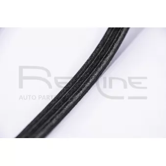 Courroie trapézoïdale à nervures RED-LINE OEM 25183061