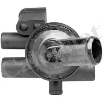 Thermostat d'eau CALORSTAT BY VERNET TH5953.86