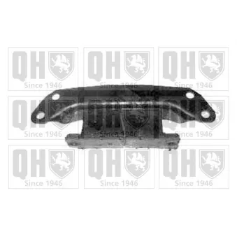 QUINTON HAZELL EM1741 - Support moteur