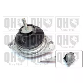 Support moteur QUINTON HAZELL OEM 8A0199382D Support moteur QUINTON HAZELL OEM 8A0199382D